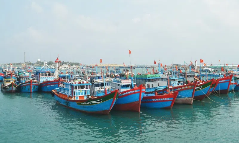 Ninh Bình tăng cường chống khai thác IUU, hướng tới phát triển thủy sản bền vững