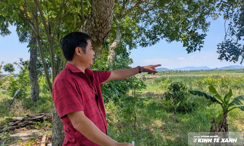 Giữ hồn quê giữa vùng cói và hai dòng sông