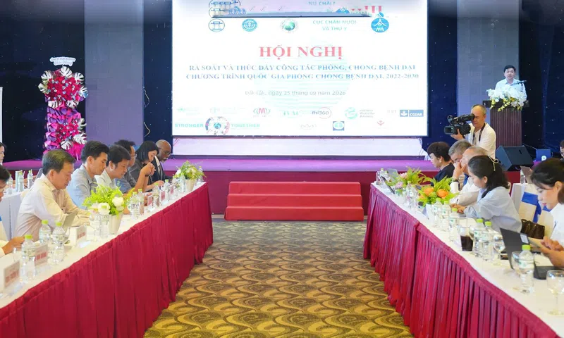 Phòng bệnh dại từ sớm, không để trả giá bằng tính mạng
