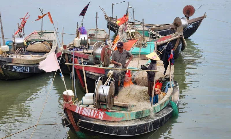 Hà Tĩnh: Tăng cường quản lý tàu cá, siết chặt truy xuất nguồn gốc thủy sản