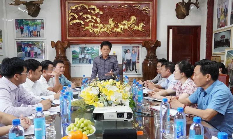 Quảng Trị: Chăn nuôi công nghệ cao tạo động lực tăng trưởng