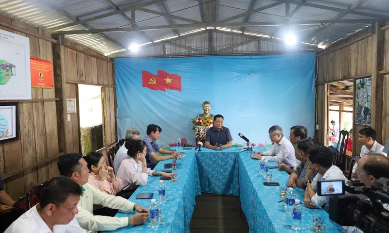 Bí thư Thành ủy Đà Nẵng khảo sát mô hình bảo tồn và phát triển sâm Ngọc Linh