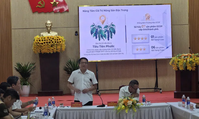 Đà Nẵng: Xã Sơn Cẩm Hà đầu tư hơn 250 tỷ đồng xây dựng nông thôn mới