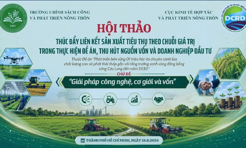 Gỡ điểm nghẽn vốn, liên kết chuỗi để nâng cao giá trị ngành hàng lúa gạo