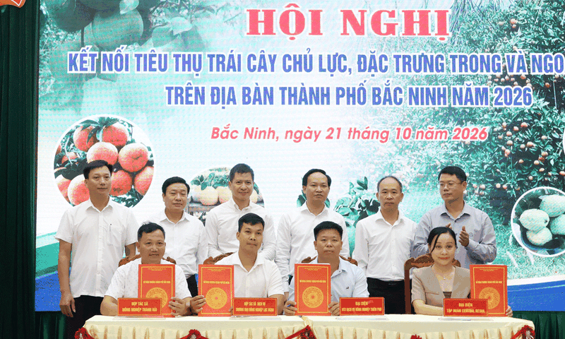 Từ vườn cây đến thị trường quốc tế: Mở lối cho trái cây Bắc Ninh