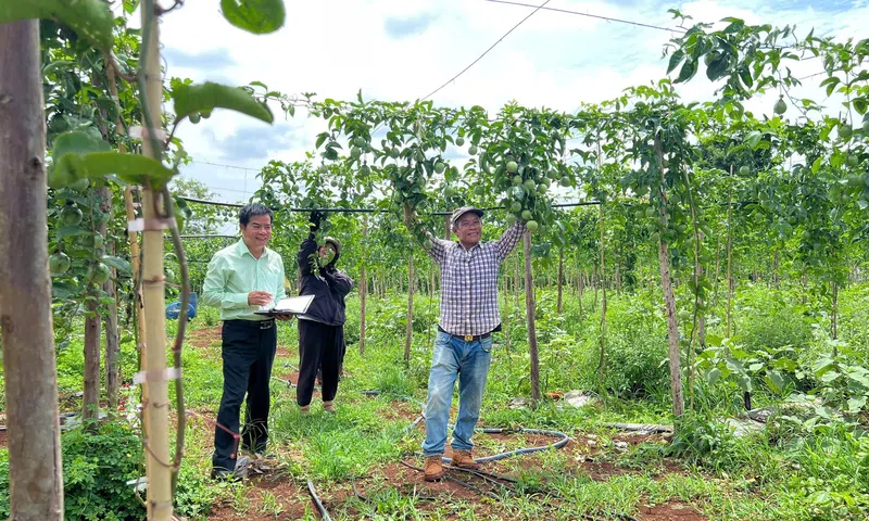 Những chuyến đi không thể nào quên