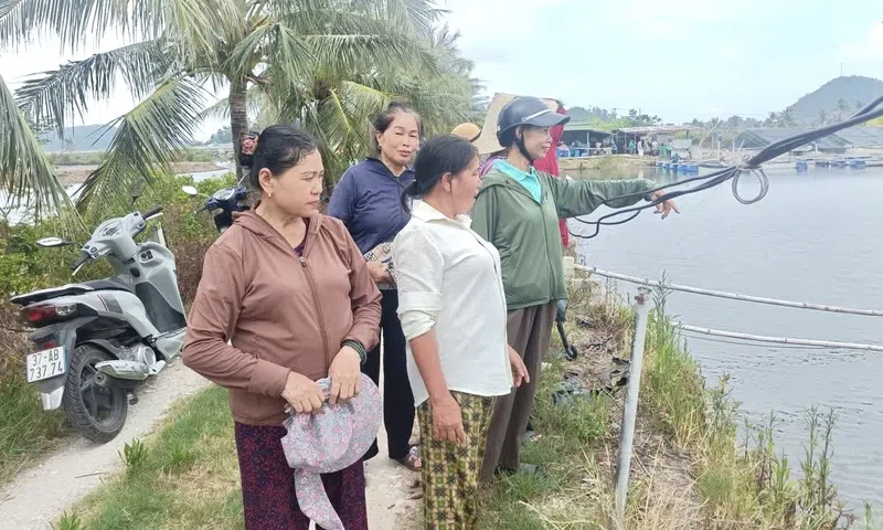 Xã Đông Lộc tập huấn kỹ năng sản xuất cho nông dân