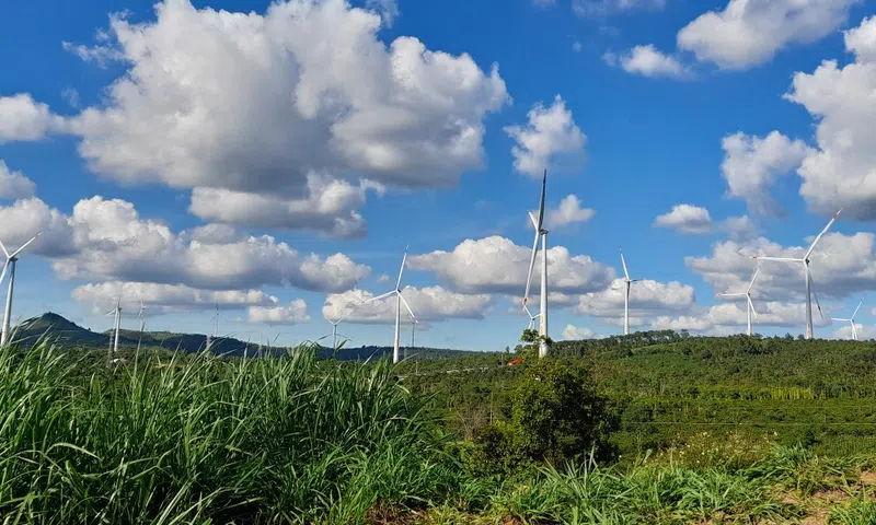 Chủ động hội nhập khu vực, Việt Nam đẩy mạnh hợp tác phát triển carbon xanh dương