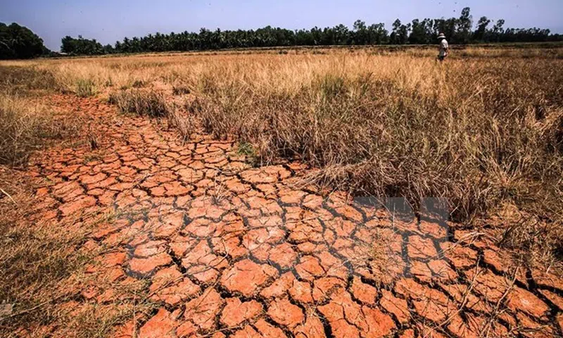 El Nino có thể kích hoạt khủng hoảng nước diện rộng từ cuối năm 2026