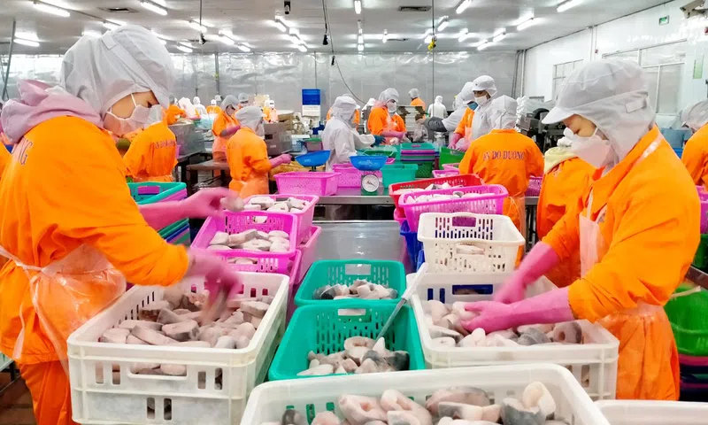 Đồng bằng sông Cửu Long tăng tốc chuyển đổi nông nghiệp trước sức ép khí hậu và thị trường