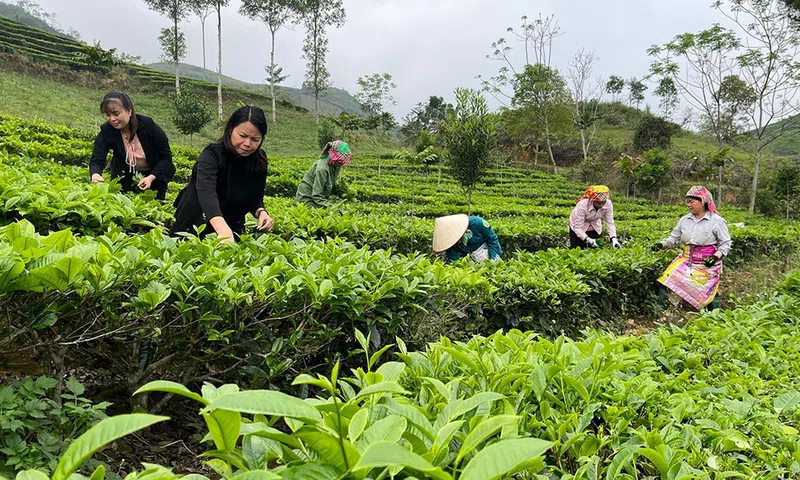 Hướng tới mốc 74 tỷ USD, ngành nông nghiệp tăng cường kiểm soát vùng trồng