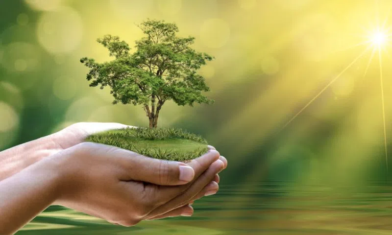 Hoàn thiện khung nhận diện dự án xanh, mở rộng hỗ trợ doanh nghiệp