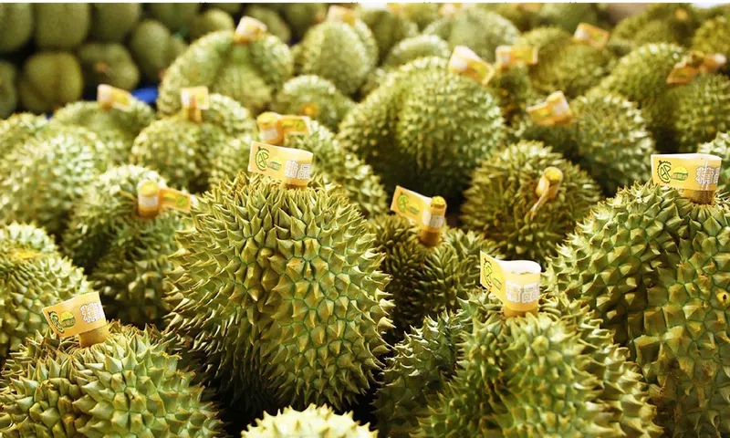 Sầu riêng Philippines hướng tới mở rộng thị phần và thị trường xuất khẩu