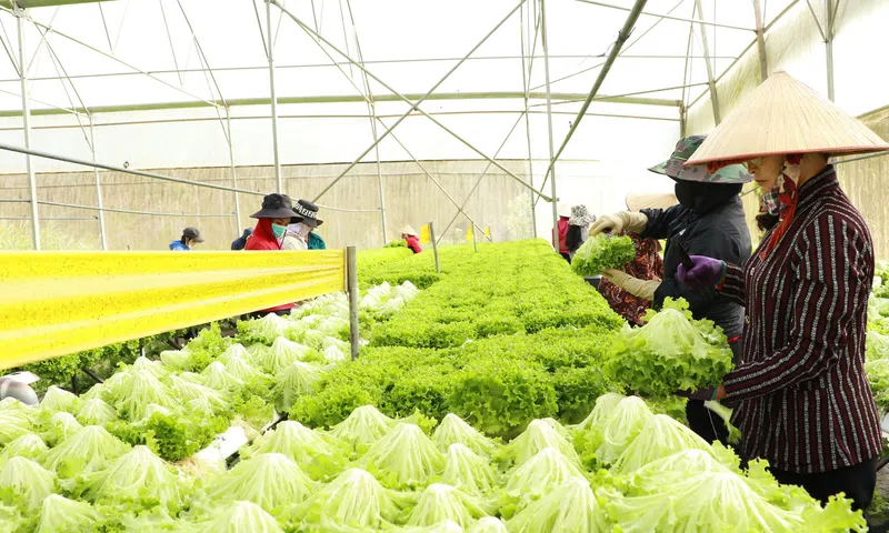 Hà Nội tăng tốc chuyển đổi xanh trong sản xuất và phân phối nông sản