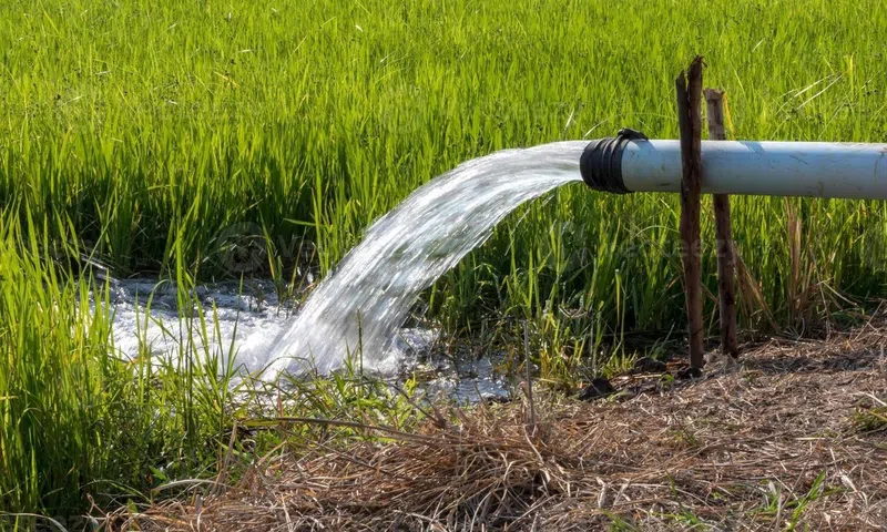Biến nước thải đô thị thành tài nguyên mới cho nông nghiệp bền vững