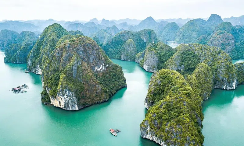 Bảo tồn và phát huy giá trị Vườn quốc gia Cát Bà vì tương lai bền vững