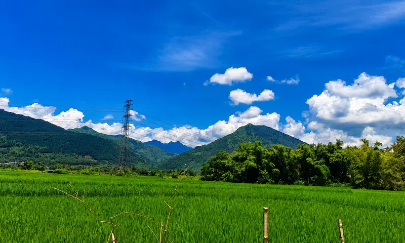 Sự ra đời của thị trường carbon và ý nghĩa của nó