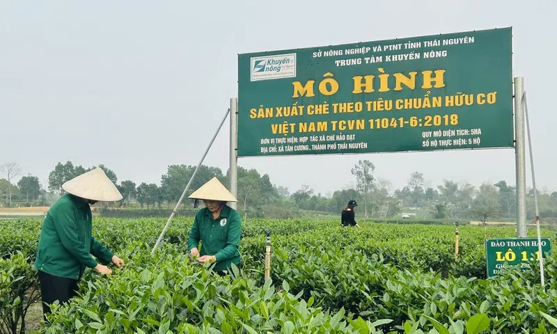 Những rào cản trong phát triển kinh tế xanh ở Việt Nam